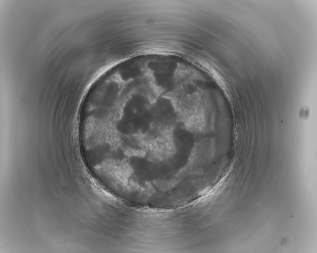 X0000093760779200711131147