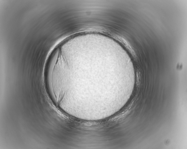 X0000093760780200711131147