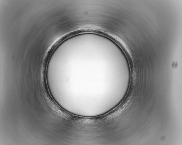 X0000093760783200711131147