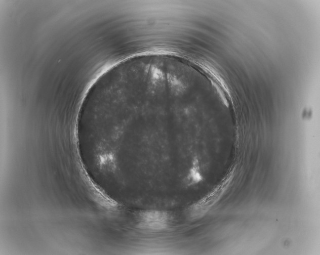 X0000093760797200711131147