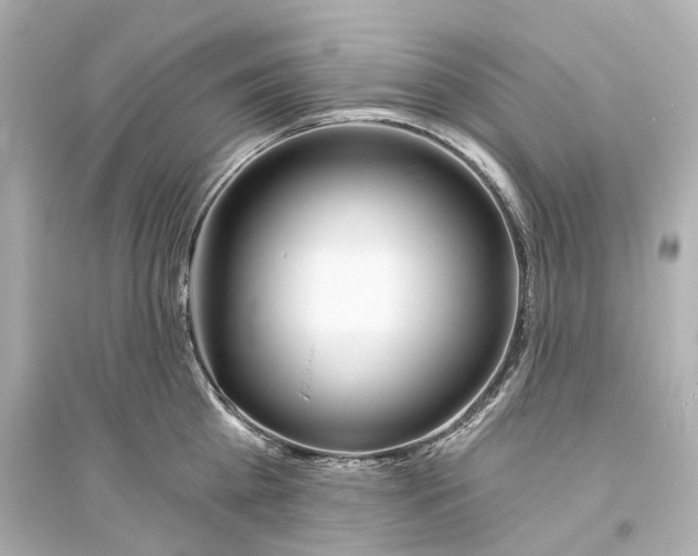 X0000093760809200711131147