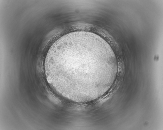 X0000093760820200711131146