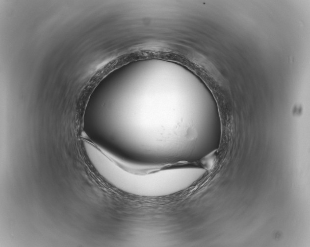 X0000093760822200711131146