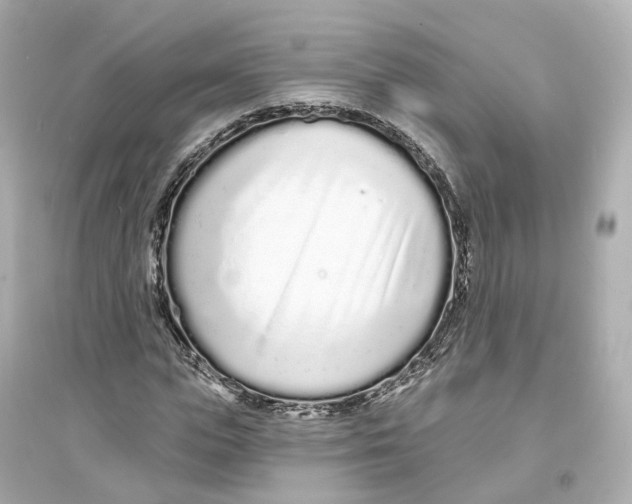 X0000093760823200711131146