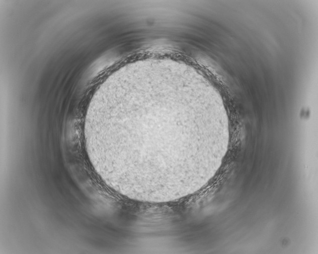 X0000093760824200711131146