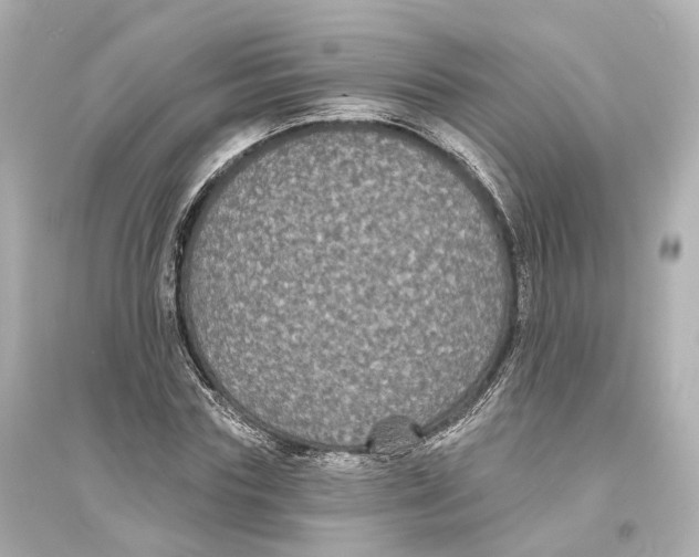 X0000093760827200711131146