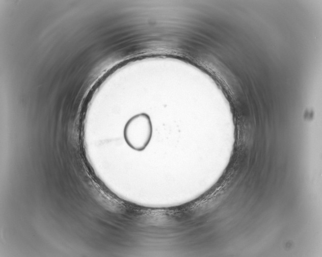 X0000093760828200711131146