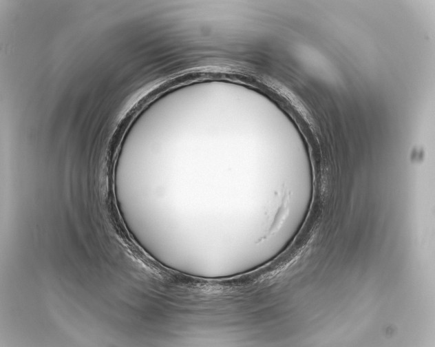 X0000093760829200711131146