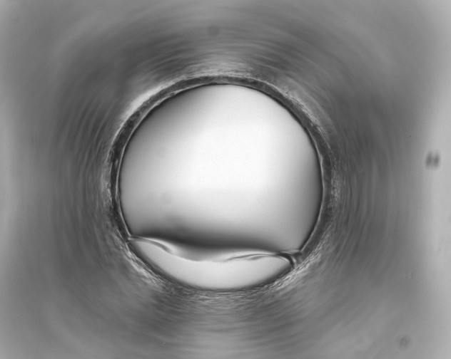 X0000093760830200711131146