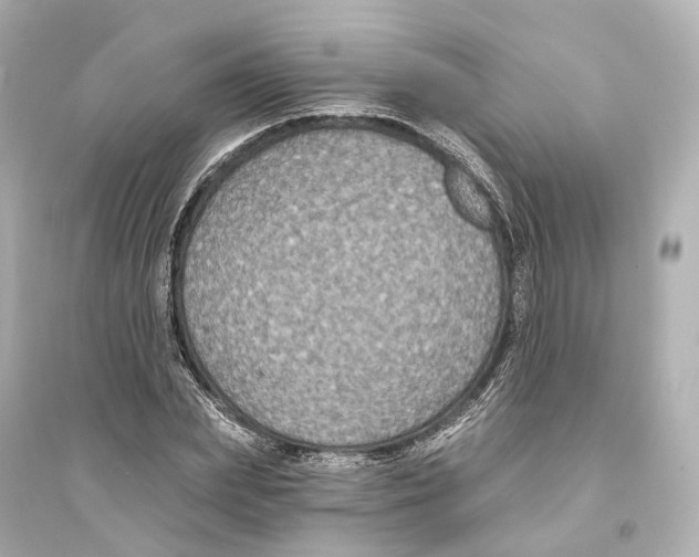 X0000093760831200711131146