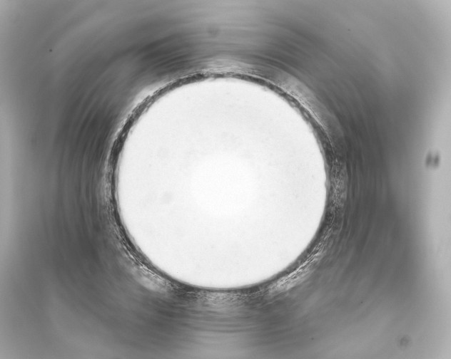 X0000093760832200711131146