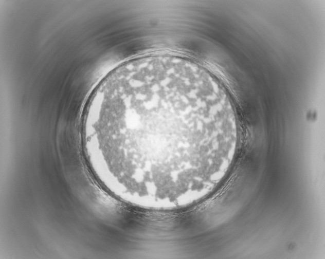 X0000093760836200711131146