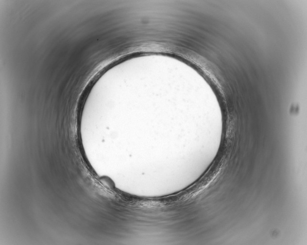 X0000093760837200711131146