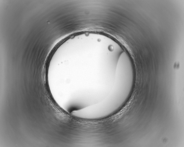 X0000093760838200711131146