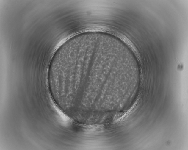 X0000093760842200711131147