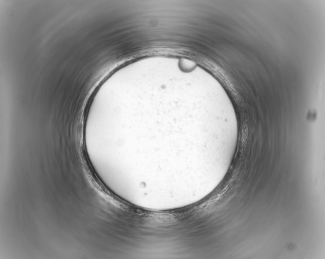 X0000093760844200711131147