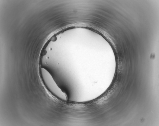 X0000093760845200711131147