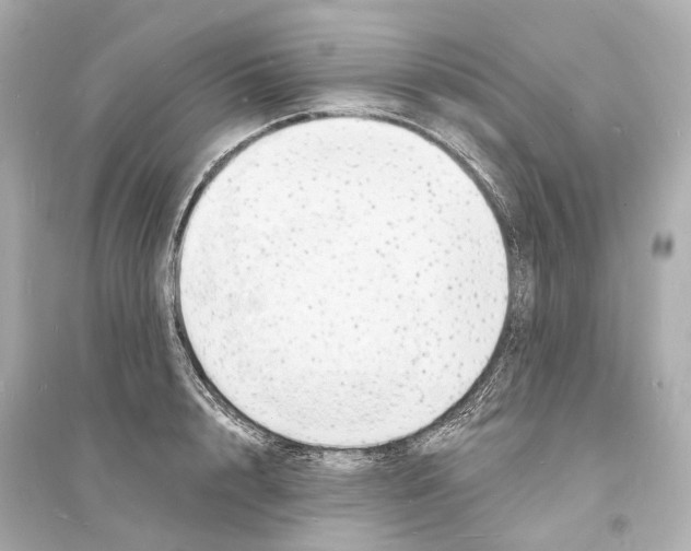 X0000093760848200711131147