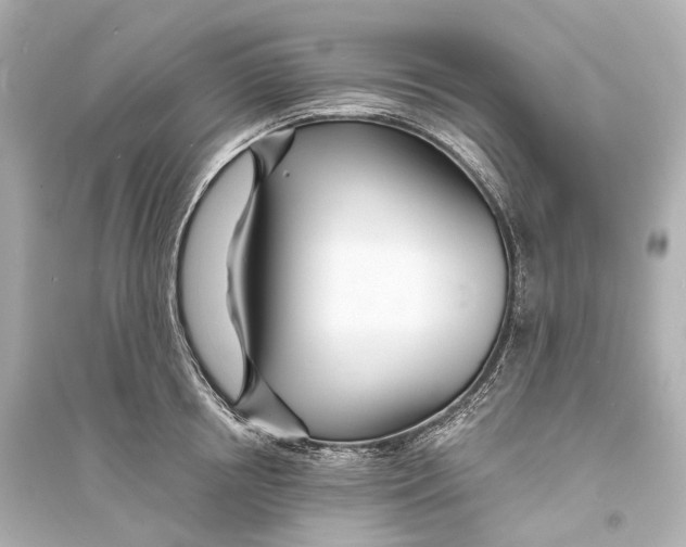 X0000093760850200711131147