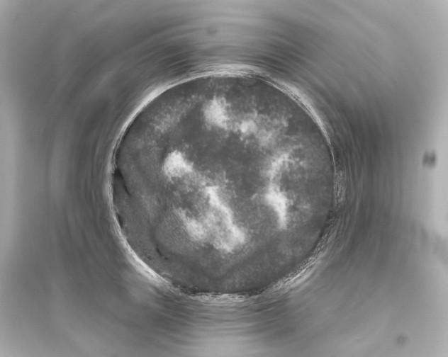 X0000093760851200711131147