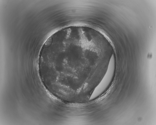 X0000093760853200711131147