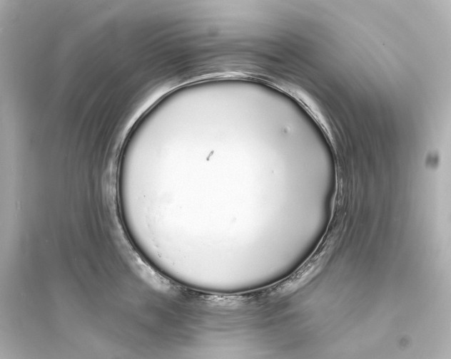 X0000093760859200711131147