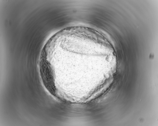 X0000093760863200711131147