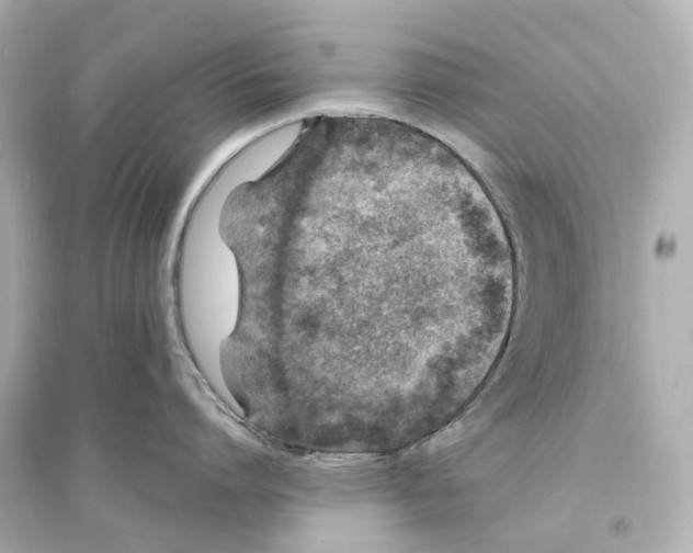 X0000093760864200711131147