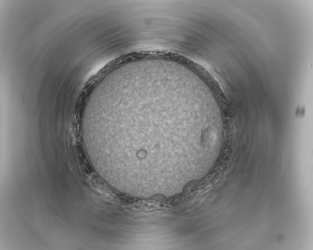 X0000093760871200711131146