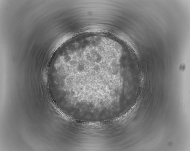 X0000093760874200711131146