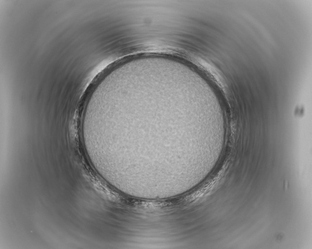 X0000093760875200711131146