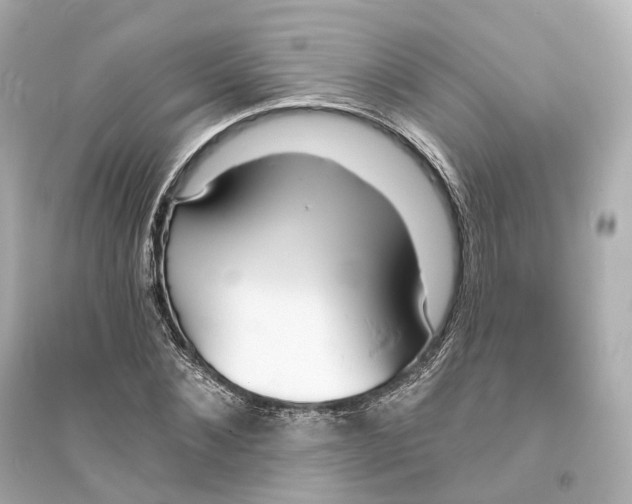 X0000093760876200711131146