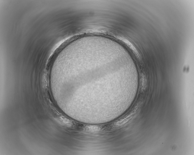 X0000093760878200711131146