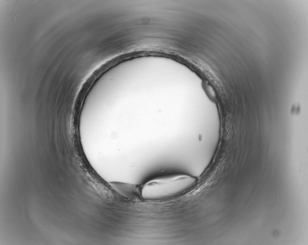 X0000093760880200711131146