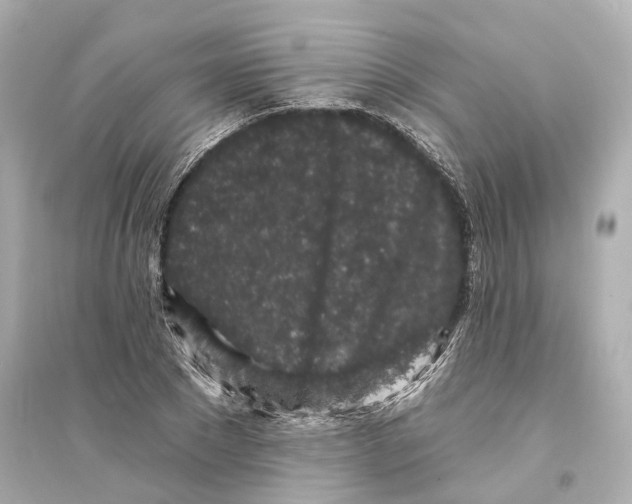 X0000093760881200711131146