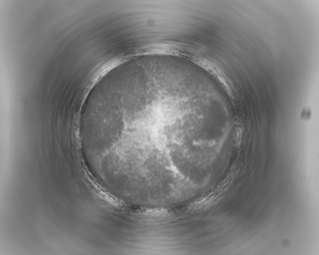 X0000093760882200711131146