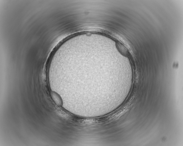 X0000093760883200711131146