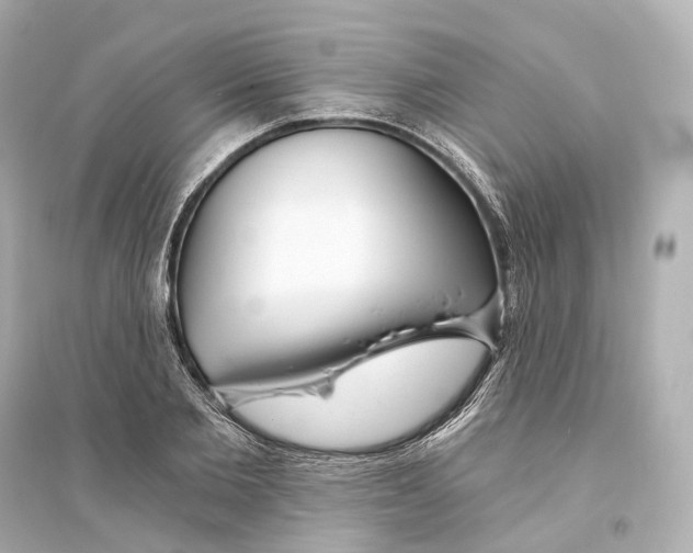 X0000093760885200711131146