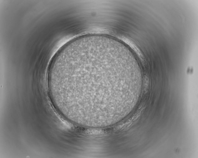 X0000093760886200711131146