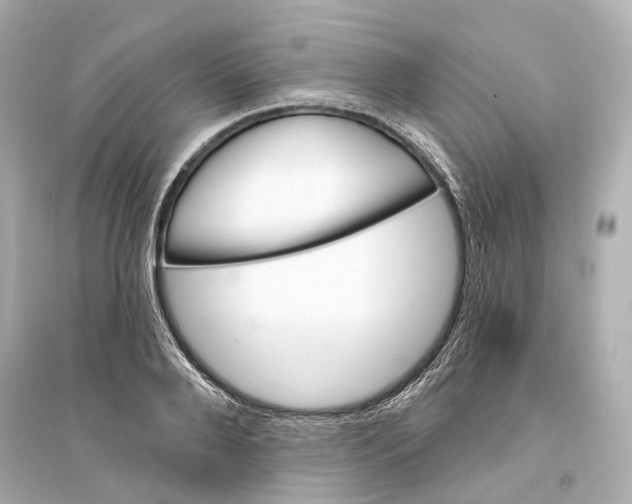 X0000093760888200711131146