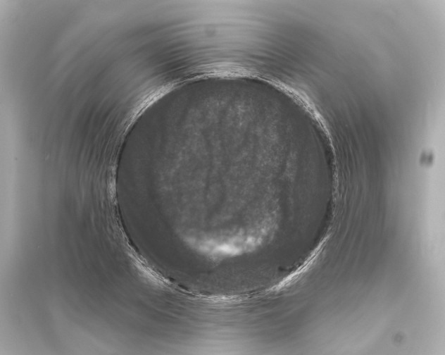 X0000093760889200711131146