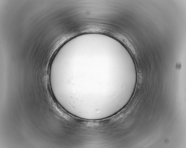 X0000093760890200711131146