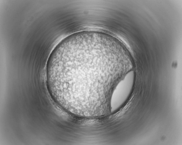 X0000093760891200711131146