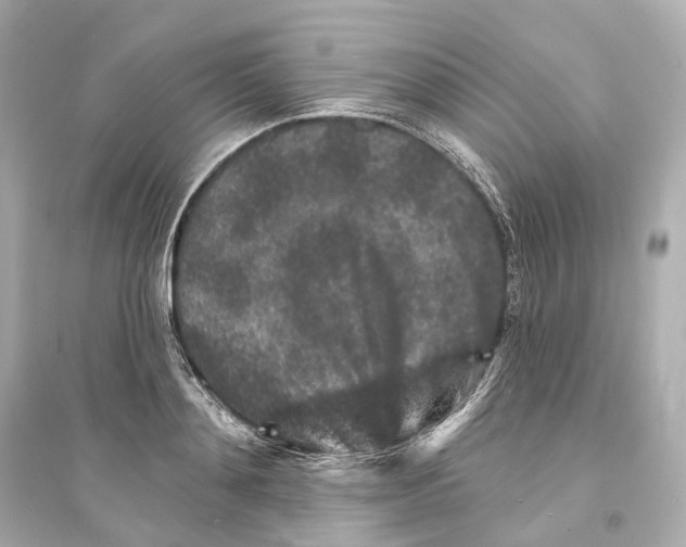 X0000093760892200711131146