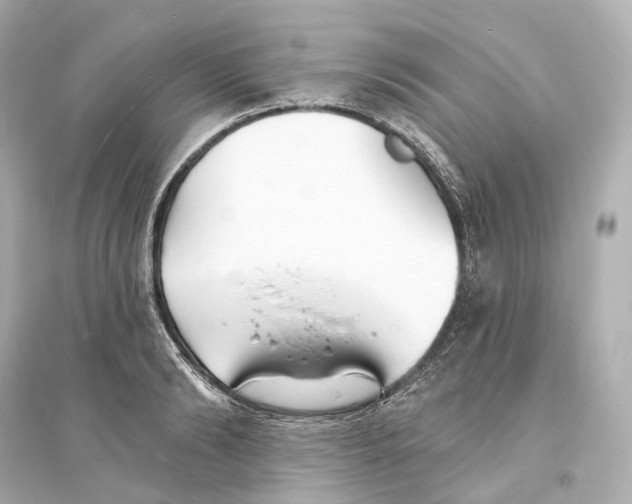 X0000093760894200711131146