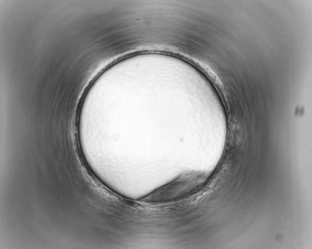 X0000093760895200711131146