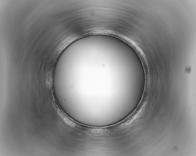 X0000093760897200711131146