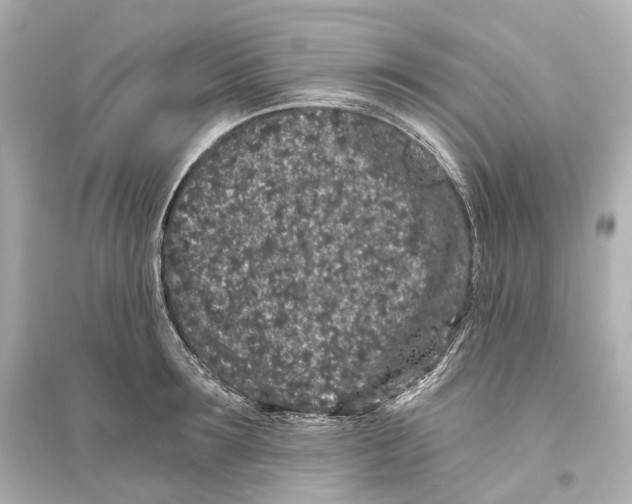 X0000093760899200711131146