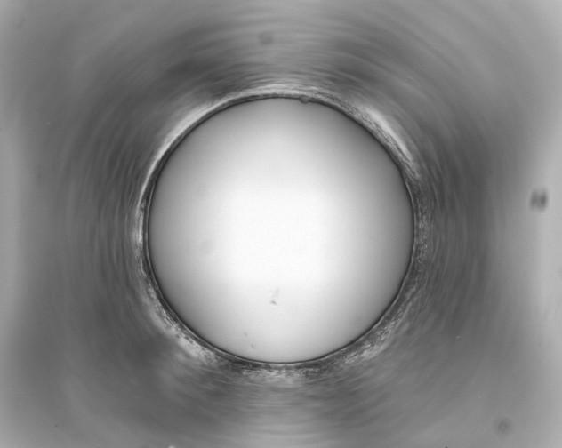 X0000093760900200711131146