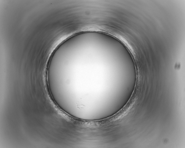 X0000093760901200711131146